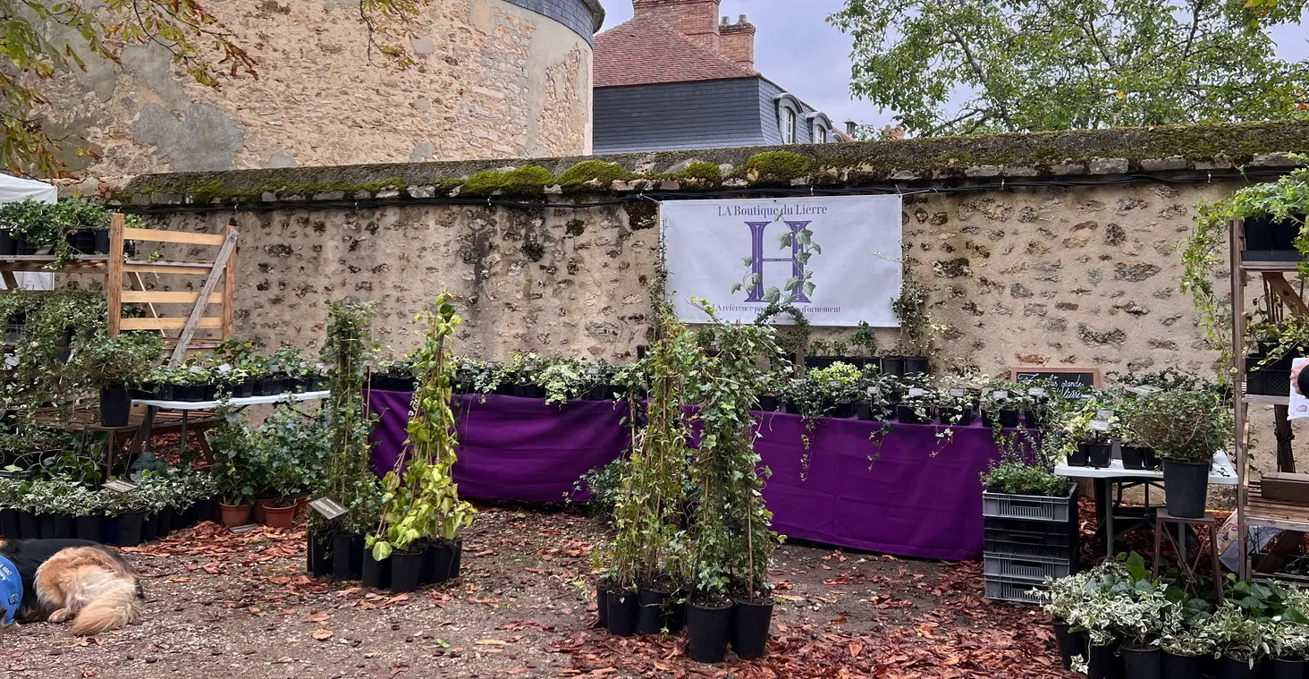 Vous êtes en train de regarder Fête des plantes 2026